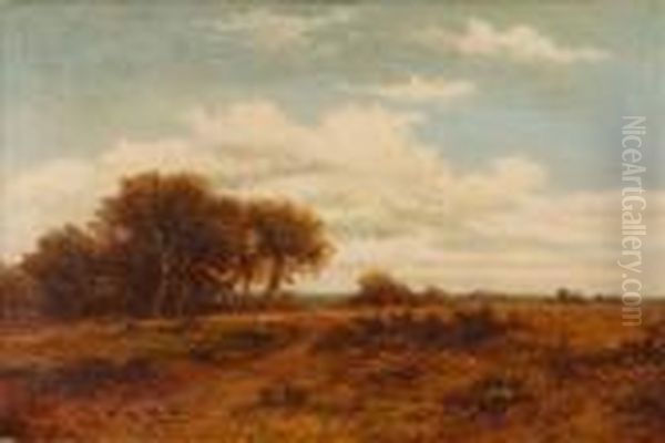 Moorland Landscape Oil Painting by Daniel Sherrin