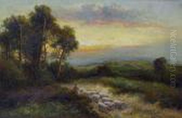 Schafherde In Landschaft Oil Painting by Daniel Sherrin