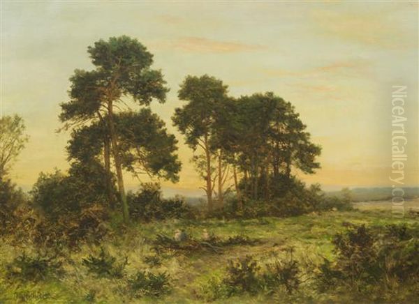 Landscape Oil Painting by Daniel Sherrin