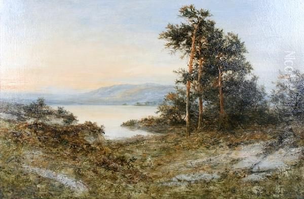 Summer By The Loch Oil Painting by Daniel Sherrin