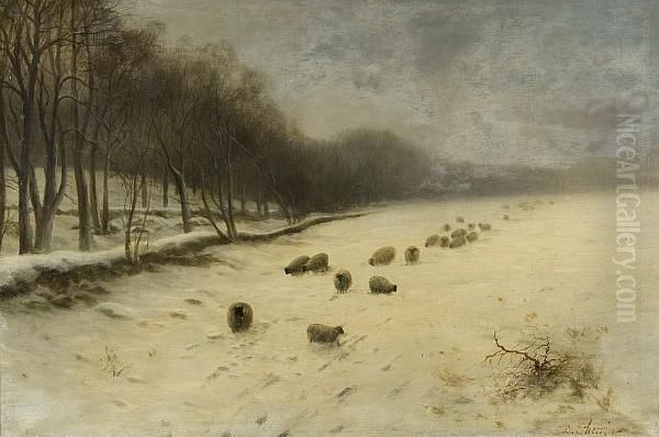 Sheep In A Snowy Landscape Oil Painting by Daniel Sherrin