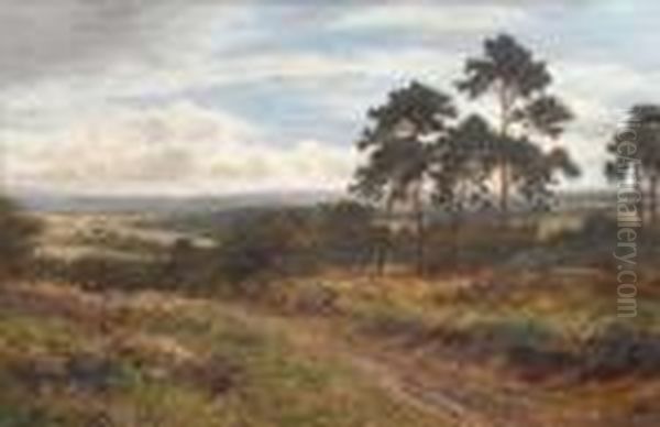 Autumn Days, Surrey Oil Painting by Daniel Sherrin