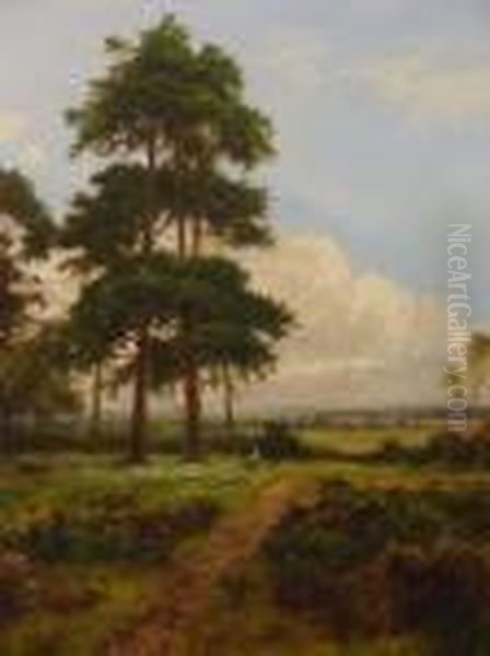 The Outskirts Of The Wood Oil Painting by Daniel Sherrin