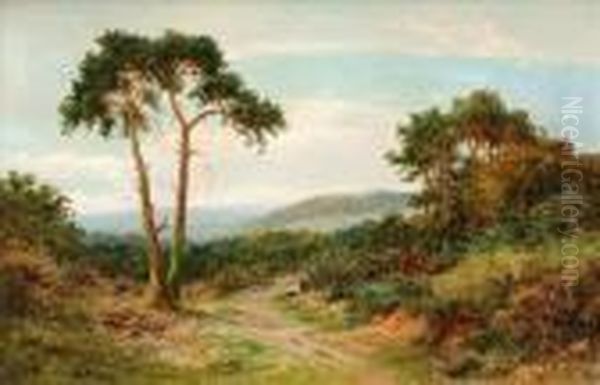 Reigate Heath,surrey Oil Painting by Daniel Sherrin