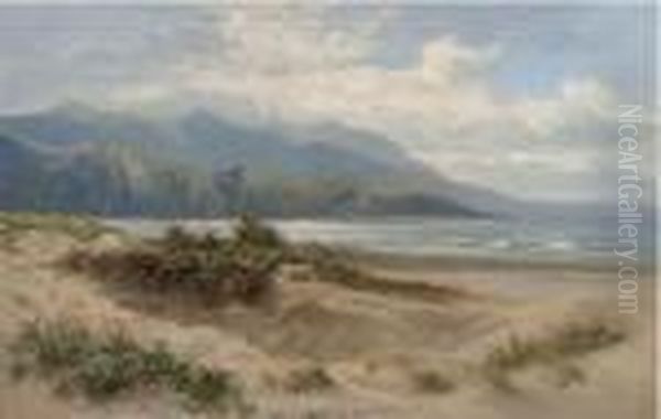 Sand Dunes By The Sea Oil Painting by Daniel Sherrin