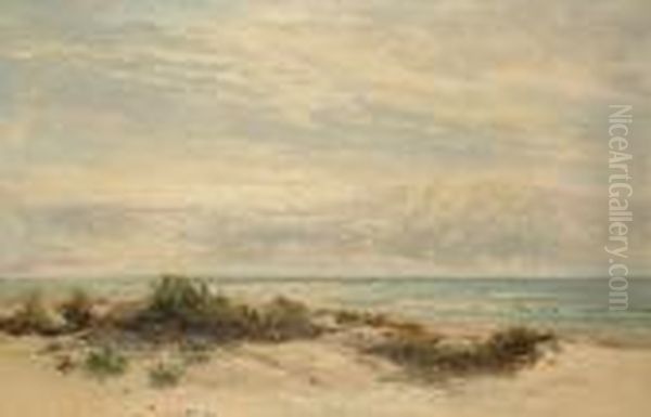 Sand Dunes Oil Painting by Daniel Sherrin