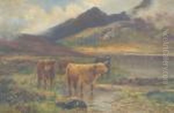 Highland Cattle In A Loch Oil Painting by Daniel Sherrin