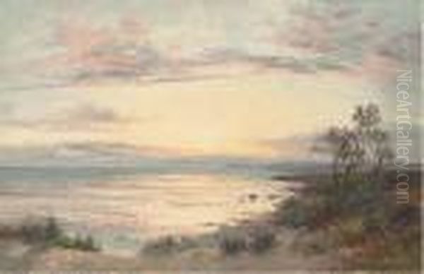 Coastal Scene At Dusk Oil Painting by Daniel Sherrin