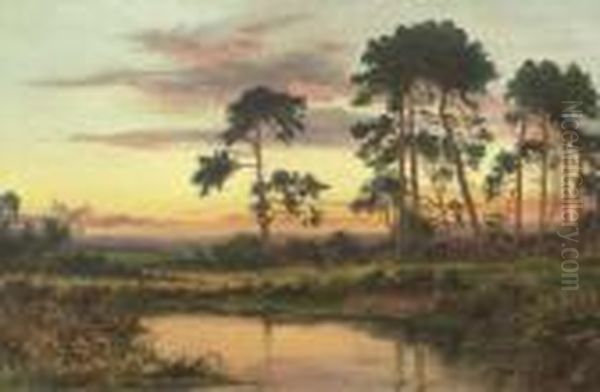 By The River At Sunset Oil Painting by Daniel Sherrin