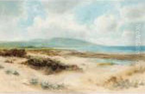 Sand Dunes Oil Painting by Daniel Sherrin