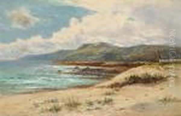 Coastal Scene Oil Painting by Daniel Sherrin