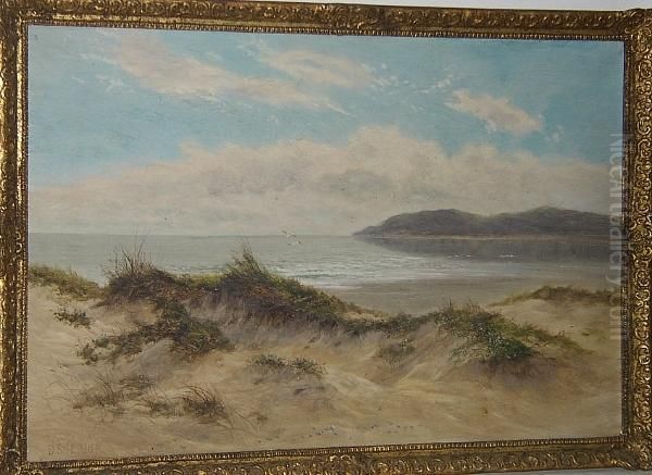 A Tranquil Coastal View Oil Painting by Daniel Sherrin