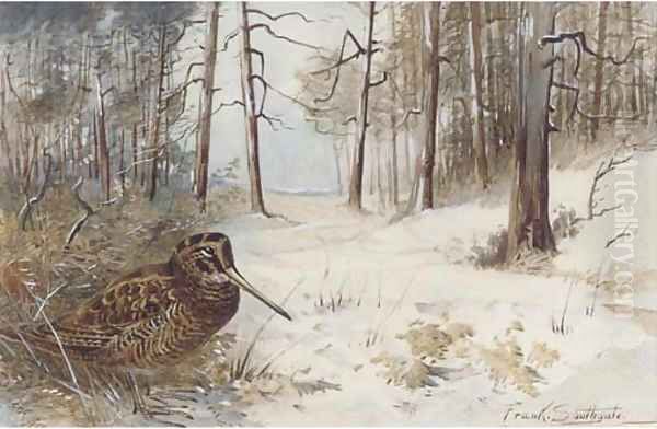 Woodcock in winter Oil Painting by Frank Southgate