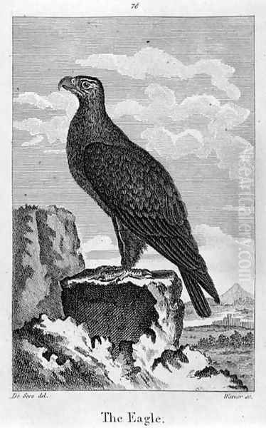 The Eagle, from A History of the Earth and Animated Nature, by Oliver Goldsmith, published in London, 1816 Oil Painting by Jacques de Seve