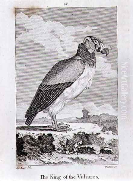 The King of The Vultures, from History of the Earth and Animated Nature, by Oliver Goldsmith, published in London, 1816 Oil Painting by Jacques de Seve