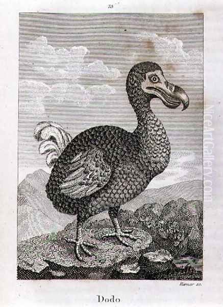 The Dodo, from A History of the Earth and Animated Nature, by Oliver Goldsmith, published in London, 1816 Oil Painting by Jacques de Seve