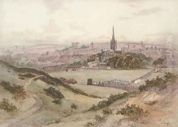 An extensive view of Norwich Oil Painting by John Syer