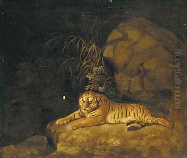 Portrait of the Royal Tiger Oil Painting by George Stubbs