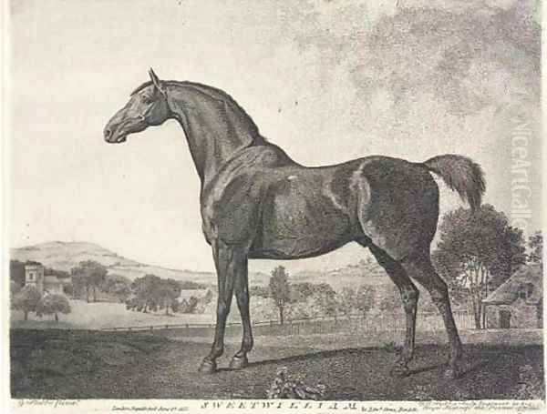 Sweetwilliam (Siltzer 264), by G. J. Stubbs Oil Painting by George Stubbs