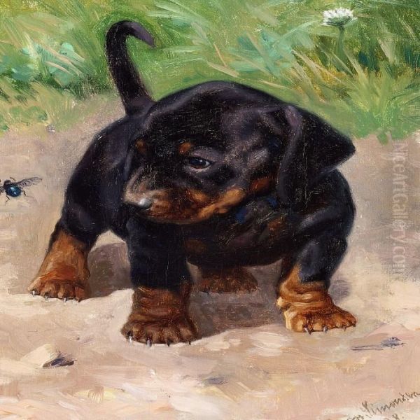 A Curious Dachshund Puppy Oil Painting by Simon Simonson