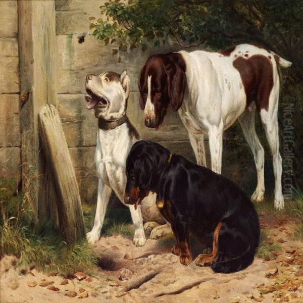 Three Dogs Looking At A Bumble Bee Oil Painting by Simon Simonson