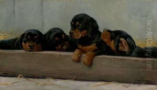 Dachshund Puppies Oil Painting by Simon Simonson