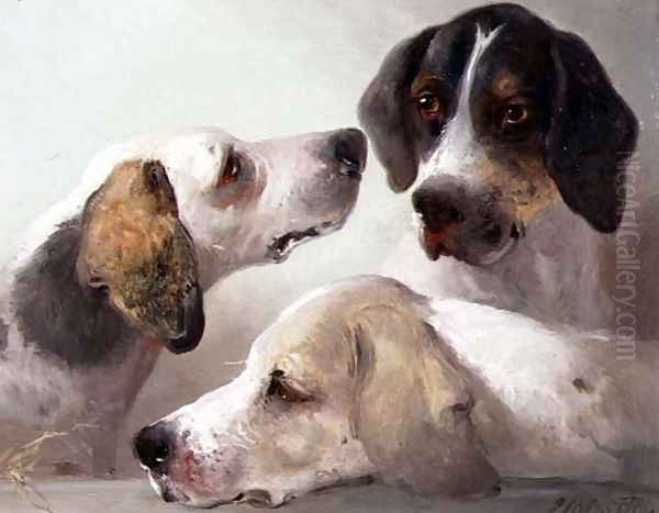 A Study of Hounds Oil Painting by Edward Robert Smythe