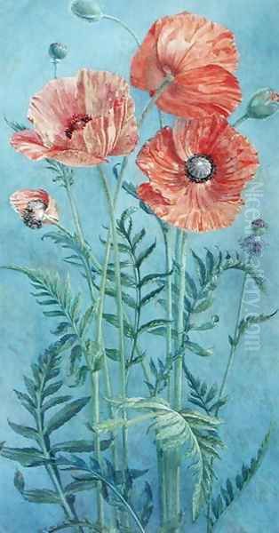 Poppies, 1916 Oil Painting by Frank Steeley