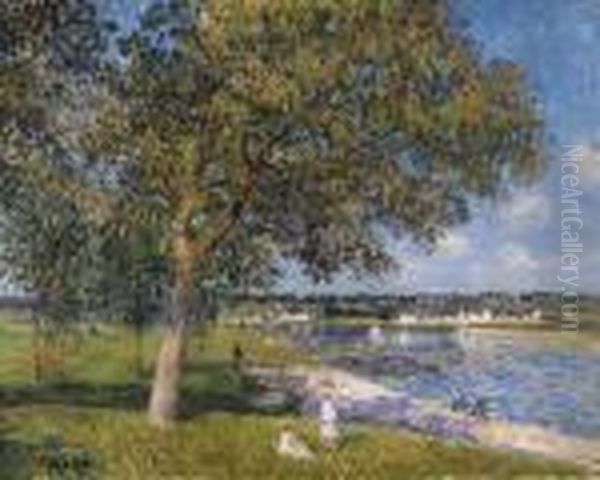 Un Noyer Dans La Prairie De Thomery Oil Painting by Alfred Sisley