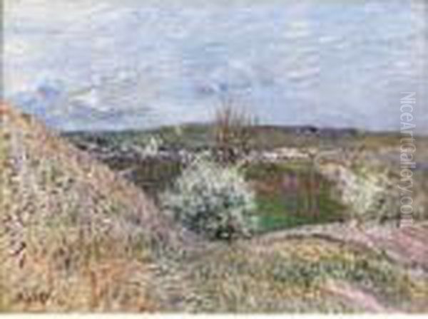 Les Hauteurs De Saint-mammes Au Printemps Oil Painting by Alfred Sisley