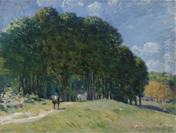 Cavalier En Lisiere De Foret Oil Painting by Alfred Sisley