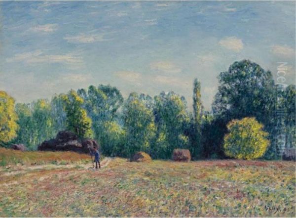 Lisiere De Foret Oil Painting by Alfred Sisley