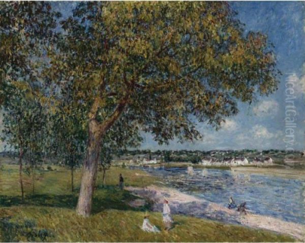 Un Noyer Dans La Prairie De Thomery Oil Painting by Alfred Sisley