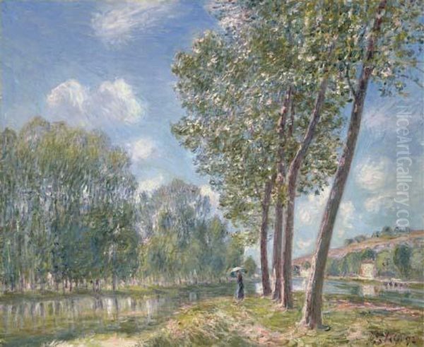 Soleil De Printemps - Le Loing Oil Painting by Alfred Sisley