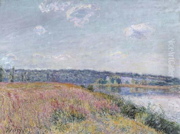 La Prairie Et Les Coteaux De Veneaux-nadon Oil Painting by Alfred Sisley