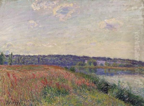 La Prairie Et Les Coteaux De Veneux-nadon Oil Painting by Alfred Sisley