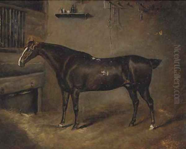 A dark brown horse in a stable Oil Painting by English School