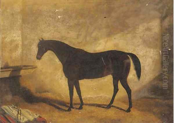 A dark brown hunter in a stable Oil Painting by English School