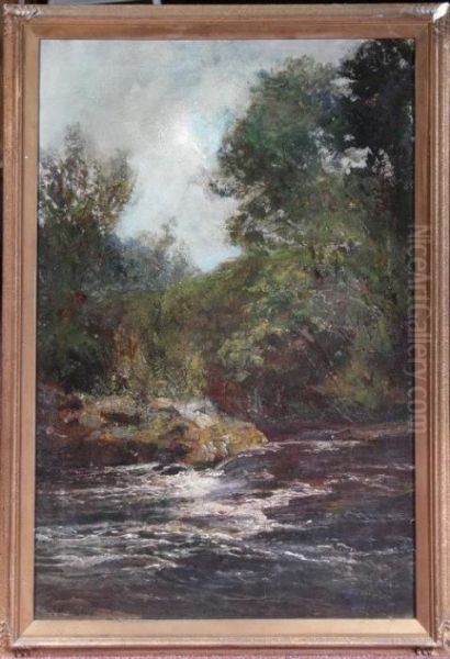 Trees By A River Oil Painting by John Falconar Slater