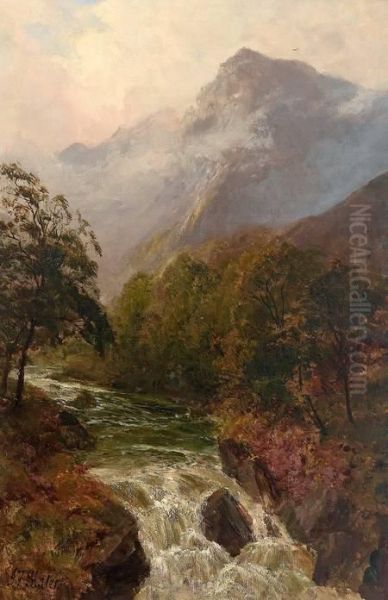 Schottische Gebirgslandschaft Mit Wildbach Und Katarakt Oil Painting by John Falconar Slater