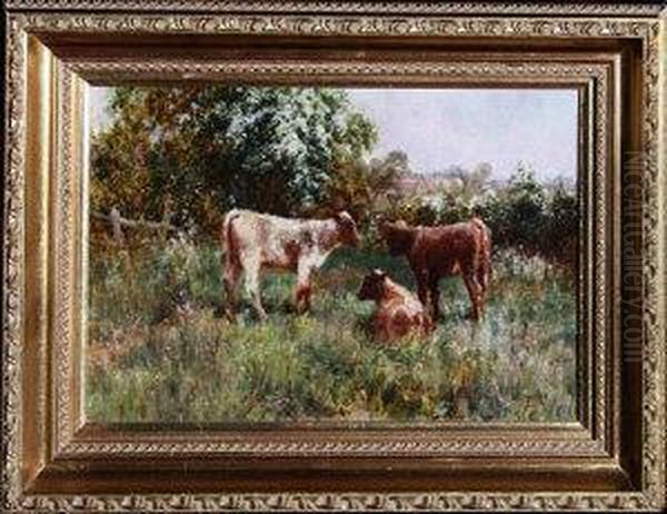 Three Calves In A Meadow. Oil Painting by John Falconar Slater