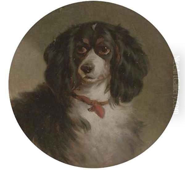 A King Charles spaniel Oil Painting by English School