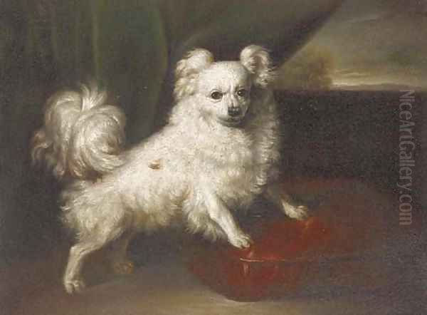 A pomeranian on a red cushion Oil Painting by English School