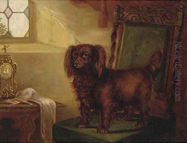 A spaniel in an interior Oil Painting by English School