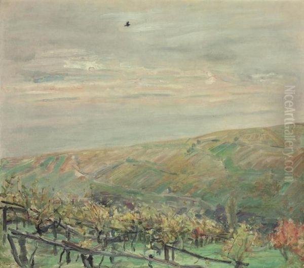 Landschaft Mit Fliegendem Vogel (blick Ins Leinsweiler Tal Imherbst) Oil Painting by Max Slevogt