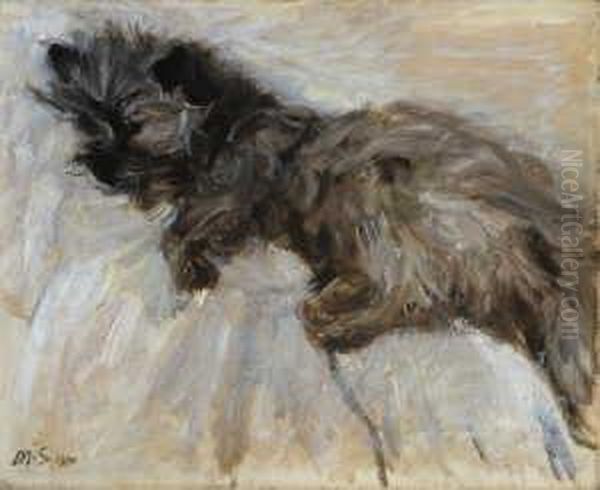 Schlafendes Hundchen Oil Painting by Max Slevogt