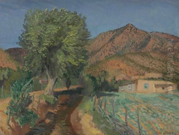 The Acequia Madre Oil Painting by John Sloan