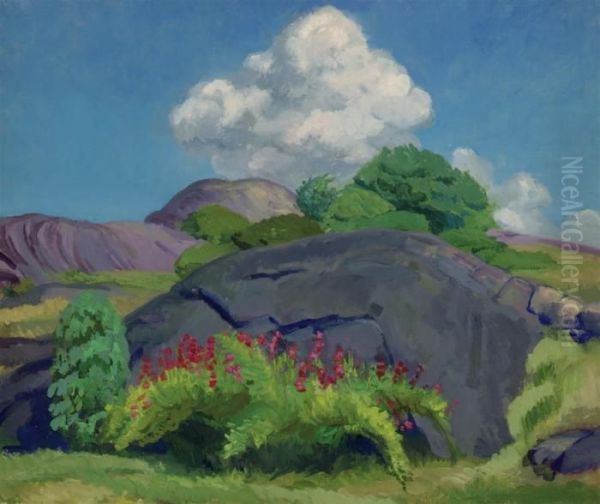 White Cloud And Rock Oil Painting by John Sloan