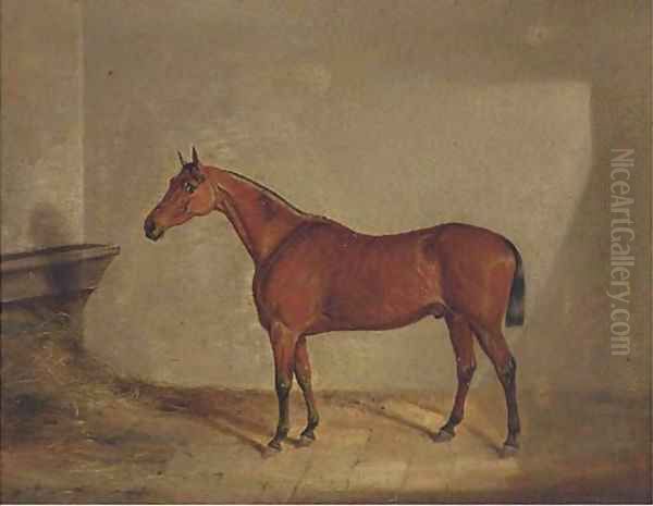 A bay hunter in a stable Oil Painting by English School