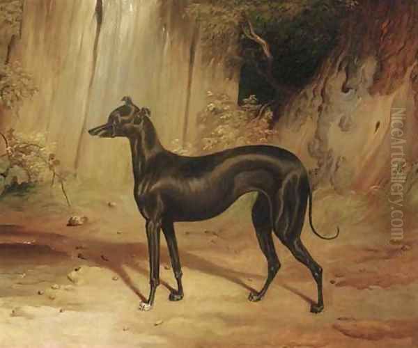 A black whippet Oil Painting by English School